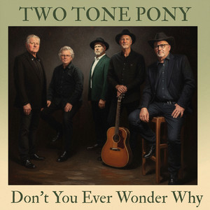 Don't You Ever Wonder Why by Two Tone Pony