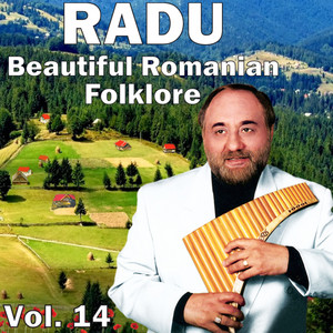 Radu Constantin - Dobrogea