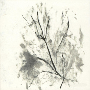 Absinthe (provisoire) artist photo