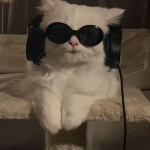 DJ Judy Suzany - Devolva