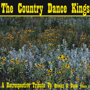 A Retrospective Tribute to Brooks & Dunn, Vol. 1 album
