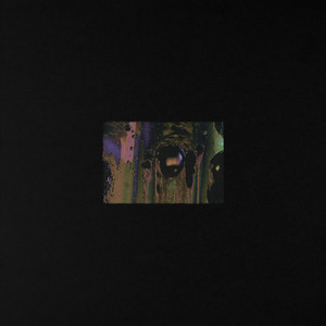 Shaytoon - Album by Sepehr | Spotify
