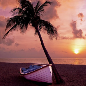 Tropica
