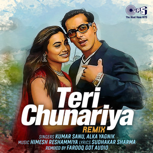 Kumar Sanu, Alka Yagnik & Farooq Got Audio - Teri Chunnariya (Remix)