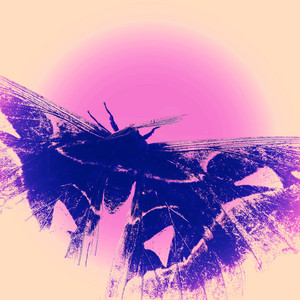 Love High by Martin Hviid, Øje