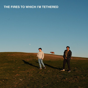 The Fires To Which I'm Tethered by Andy Armstrong