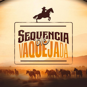 Sequencia de Vaquejada by O Próximo HIT