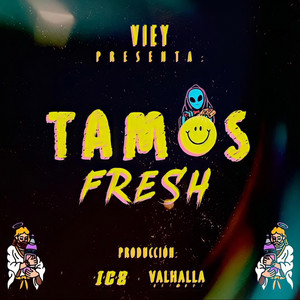 Tamos Fresh by Viey