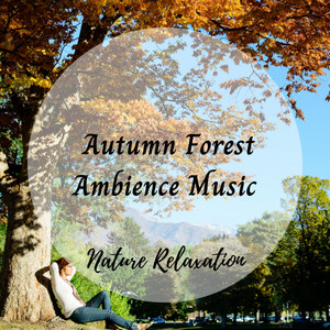Nature Relaxation: Autumn Forest Ambience Music album