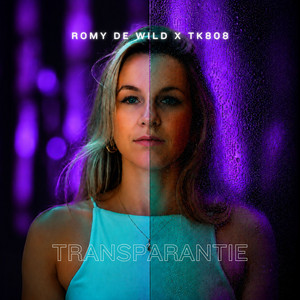 Transparantie