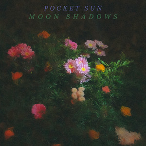 Moon Shadows by Pocket Sun
