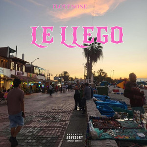 LE LLEGO by Flott None