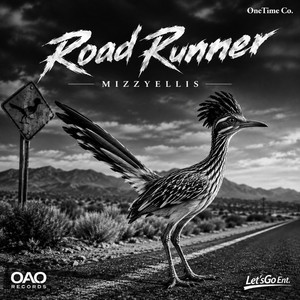 Road Runner by MizzyEllis