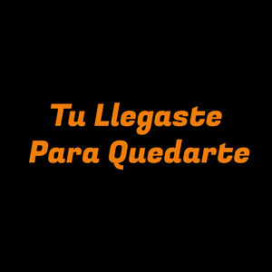Tu llegaste para quedarte by Jacobo Parranda