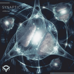 Set Free - Original Mix by Olduvai, Rhekluse