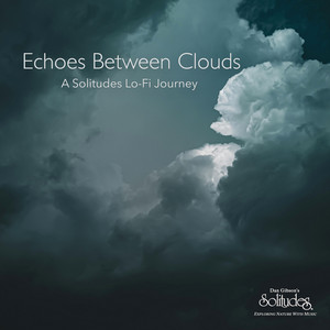 Wistful Thinking by Dan Gibson's Solitudes