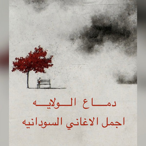 اجمل الأغاني السودانيه - دماع الولايه ود اللدر