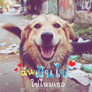ฉันฝันไปใช่ไหมเธอ by KSL_Music&Studio