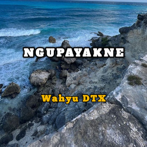 Ngupayakne