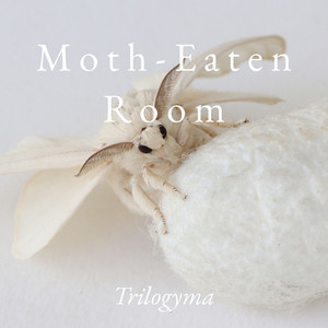 Moth-Eaten Room by trilogyma