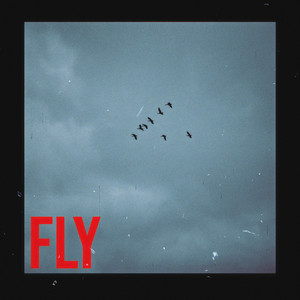 FLY by Matt Payne