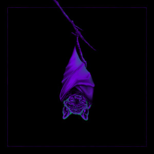 Böcker by Hök