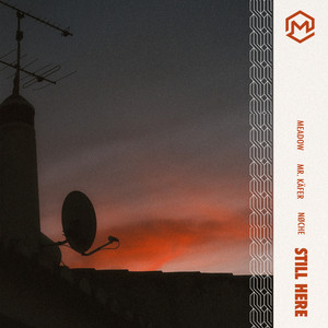 Still Here by Mr. Käfer, M e a d o w, nøche