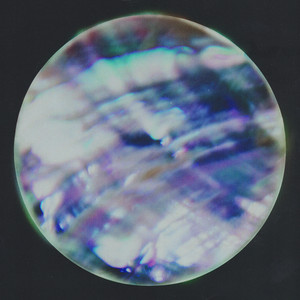 Parra for Cuva details upcoming electronic album Nacar