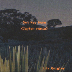 Own Way Home - Jayfen Remix by Liv Quigley