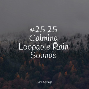 #25 25 Calming Loopable Rain Sounds album