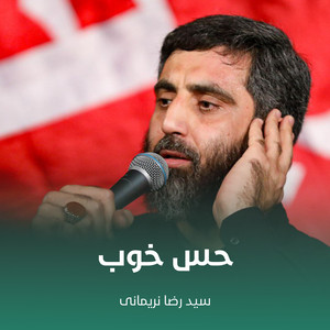 سید رضا نریمانی - حس خوب