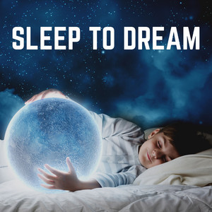 Sleep to Dream album