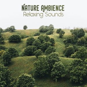 Nature Ambience (Relaxing Sounds) album
