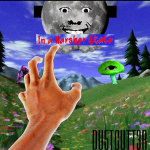 IN A HARSHER STATE