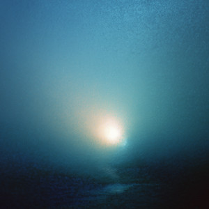 Night Blur by Moss Halo