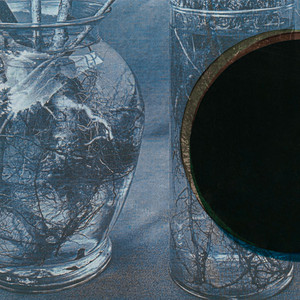 Root Rot by Kittridge