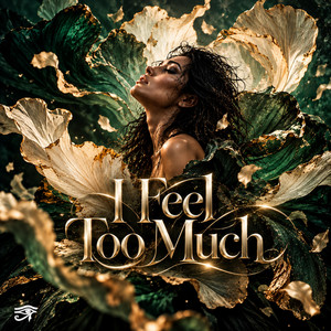 I Feel Too Much by Mostafa Elsaadi