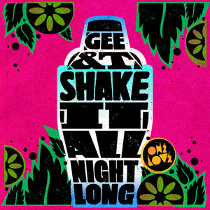 Shake It (All Night Long) - Chardy Remix by Gee & T, Chardy