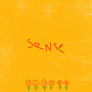 Revsun — Sense