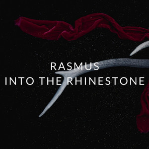 Into the Rhine artist photo