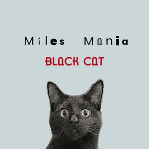 Black Cat by Miles Mania