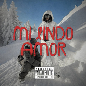 MI LINDO AMOR by Diddy Wason