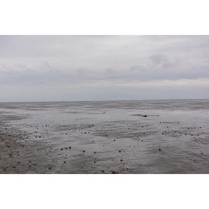 Tidewater by Finn Ostermann