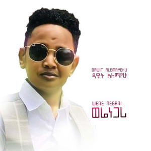 Dawit Alemayehu - Were Negari