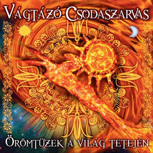 Vágtázó Csodaszarvas Photo