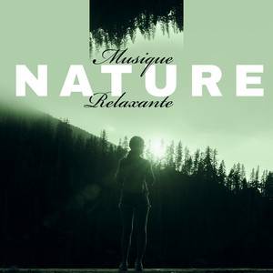 Musique Coeur de la Nature - Tambour