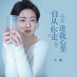 大潞 - 自从你走进我心里