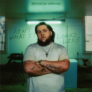 Ain't What It Looks Like by Brandon Wisham