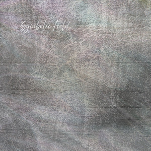 The Fallout by Symbolic Field