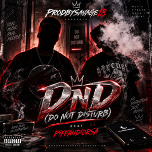 DnD(Do No Disturb) by Prodbysavage18, PIffAudioRsa